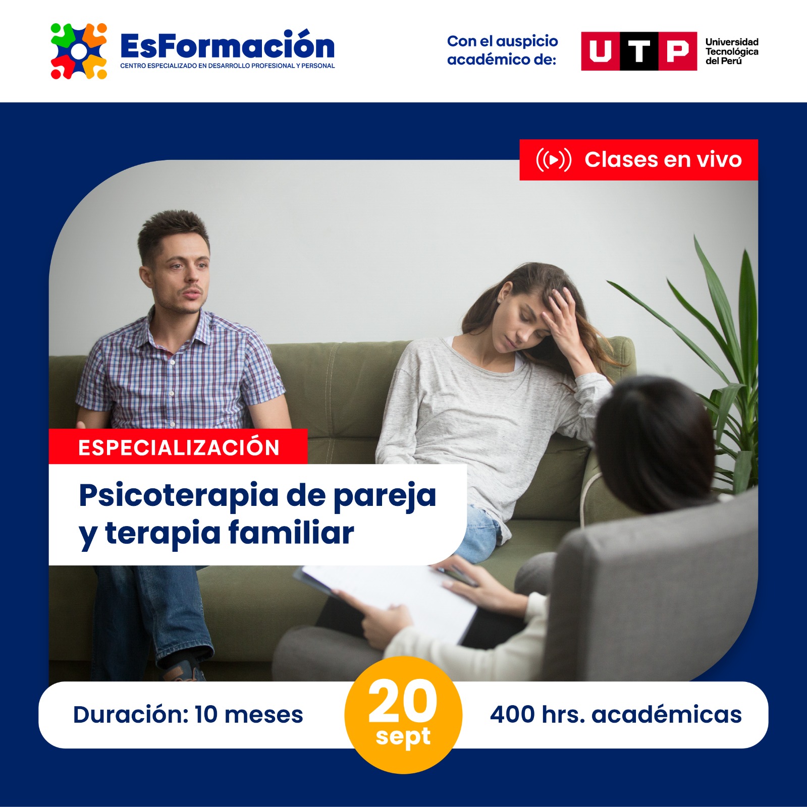 Psicoterapia de parejas y terapia familiar